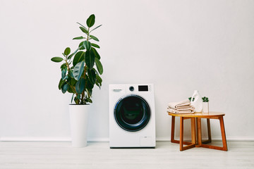 green plant near modern washing machine, coffee table with towels and detergent bottle in bathroom