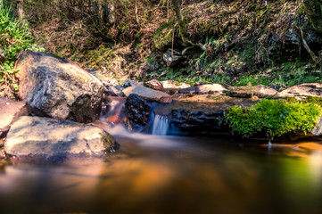 cours d'eau campagnard