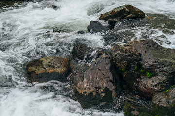 Big stones with moss and lichen in water riffle of mountain river. Powerful water stream of mountain creek. Natural textured rapid background of fast flow of mountain brook. Mossy boulders close-up.