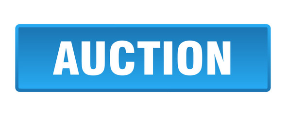 auction button. auction square blue push button