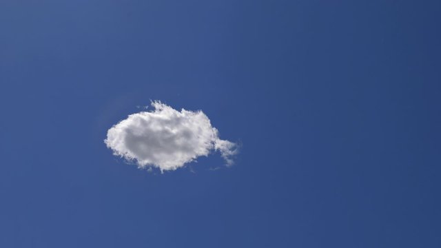 Fast Billowing Increasing Lone Cloud Isolated on Clear Soft Blue Sky, Time Lapse. Concept of Purity and Lightness