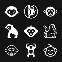 Vector monkey icon isolated on background. Animal symbol