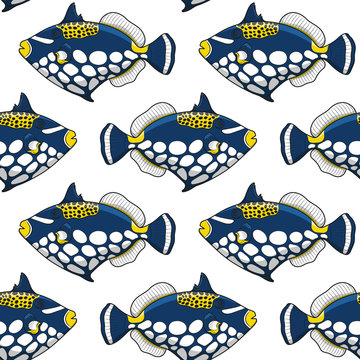 Seamless pattern with clown triggerfish fish. Vector tropical background on white.
