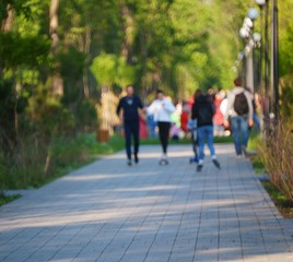 people walking in park