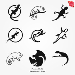 Vector Lizard icon on white background, Vector gecko