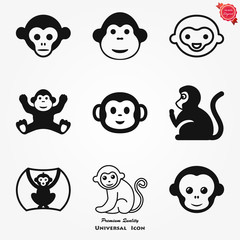 Vector monkey icon isolated on background. Animal symbol
