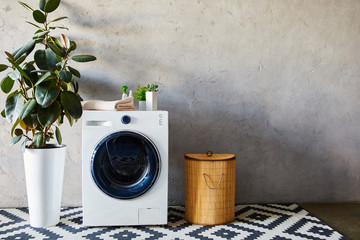 green plants, towel and bottles on white washing machine near laundry basket and ornamental carpet...