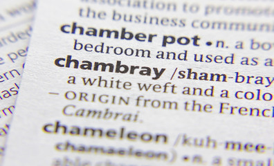 Chambray word or phrase in a dictionary.