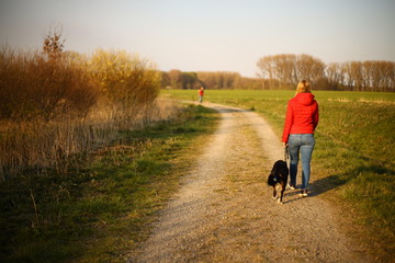 Fototapeta premium Girl with dog