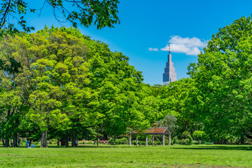 東京 渋谷 代々木公園 ~ Yoyogi Park, one of the largest parks in Tokyo, Japan ~