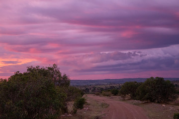 Masai Mara, Afrika, Kenia, Masaimara, Sonnenunternang, Abendrot