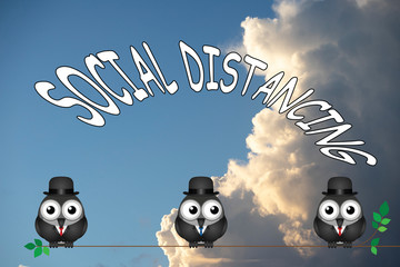 Comical bird social distancing message due to worldwide pandemic on cloud background 