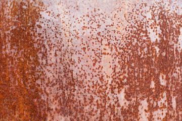 Rustic metal. Old grunge iron texture background