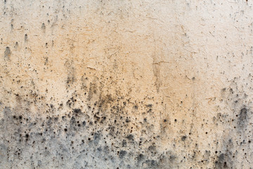 Old mold damaged chipboard texture close up. Wood treatment concept