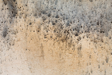 Old mold damaged chipboard texture close up. Wood treatment concept