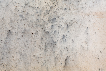 Old mold damaged chipboard texture close up. Wood treatment concept