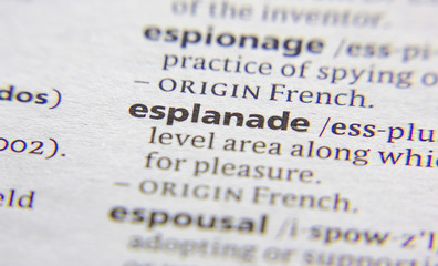 Esplanade word or phrase in a dictionary.