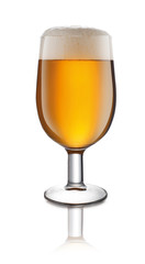 copa de cerveza. glass of beer on white background