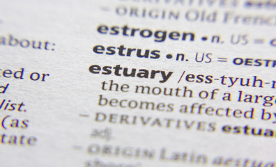 Esturary word or phrase in a dictionary.