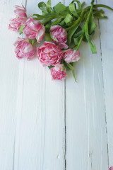 Fototapeta premium on a white background a bouquet of pink flowers 