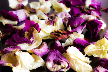 Background of dried petals