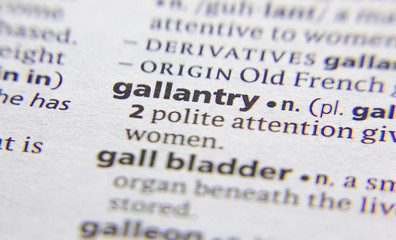 Gallantry word or phrase in a dictionary.
