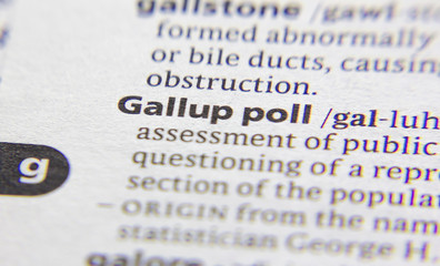 Gallup poll word or phrase in a dictionary.