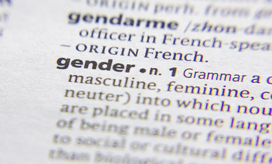 Gender word or phrase in a dictionary.