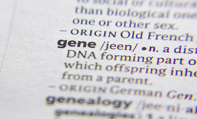 Gene word or phrase in a dictionary.