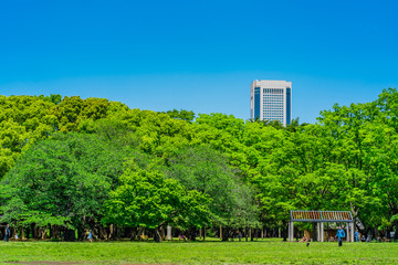 Fototapeta na wymiar 東京 渋谷 代々木公園 ~ Yoyogi Park, one of the largest parks in Tokyo, Japan ~