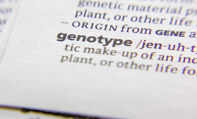Genotype word or phrase in a dictionary.