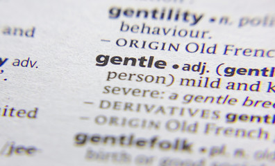 Gentle word or phrase in a dictionary.