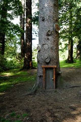 Fairy tale house in a tree trunk in the magic forest