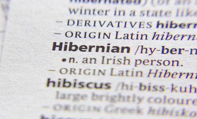 Hibernian word or phrase in a dictionary.