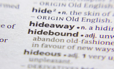 Hideaway word or phrase in a dictionary.
