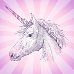 Unicorn profile portrait graphic vector illustration