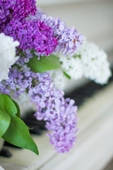 lilac on piano close-up. White piano. Lilac bouquet several colors over Syringa vulgaris. Lilac flowers bunch.