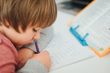 Naklejka premium Seven years boy studying online. Studying home. Close up