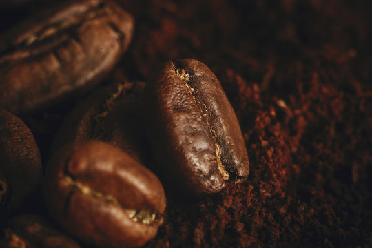 Coffee beans close up on grounded coffee pile. Fresh aromatic roasted coffee beans macro view. Space for text. Brown tone moody image © sonyachny