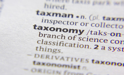 Taxonomy word or phrase in a dictionary. - 348173874