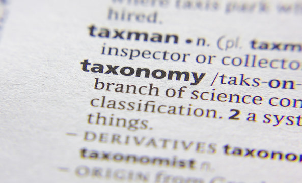 Taxonomy word or phrase in a dictionary.