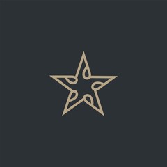 Premium star logo design
