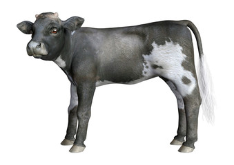 3D Rendering Calf on White