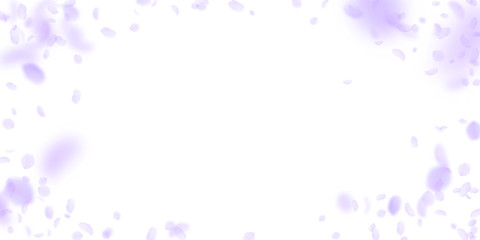 Violet flower petals falling down. Unequaled roman