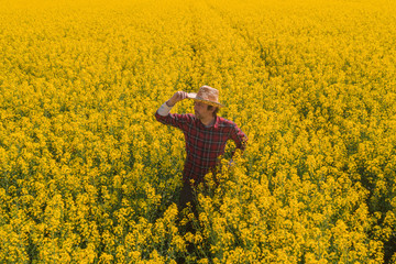 Oilseed rape farmer looking over cultivated field in bloom