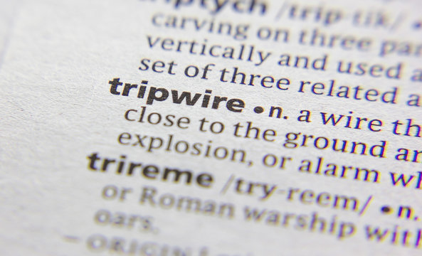 Tripwire Word Or Phrase In A Dictionary.