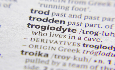 Troglodyte word or phrase in a dictionary.