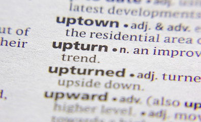 Upturn word or phrase in a dictionary.