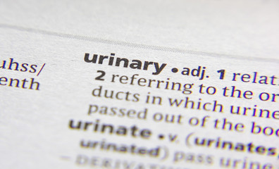 Urinary word or phrase in a dictionary.