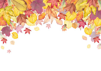 Colorful autumn card.